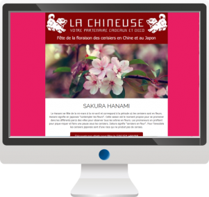 Vente d’objet asiatique<br>Newsletter