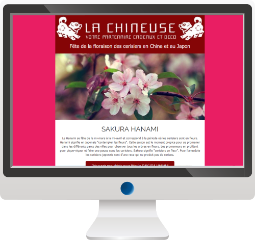 Vente d’objet asiatique<br>Newsletter